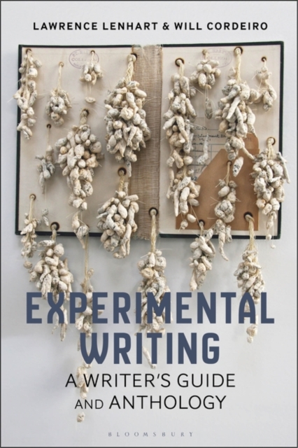Experimental Writing : A Writer's Guide and Anthology, Hardback Book