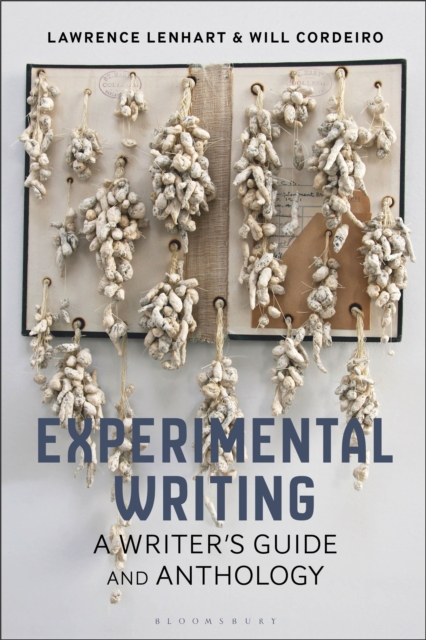 Experimental Writing : A Writer's Guide and Anthology, PDF eBook