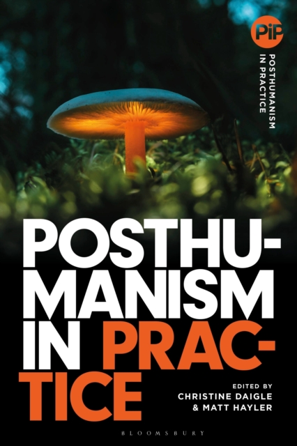Posthumanism in Practice, Hardback Book