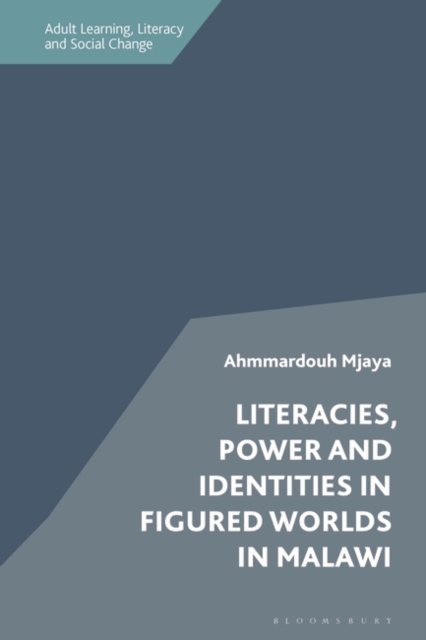 Literacies, Power and Identities in Figured Worlds in Malawi, Paperback / softback Book