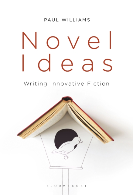Novel Ideas : Writing Innovative Fiction, EPUB eBook