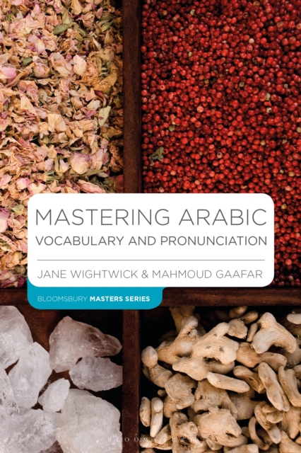 Mastering Arabic Vocabulary and Pronunciation, EPUB eBook