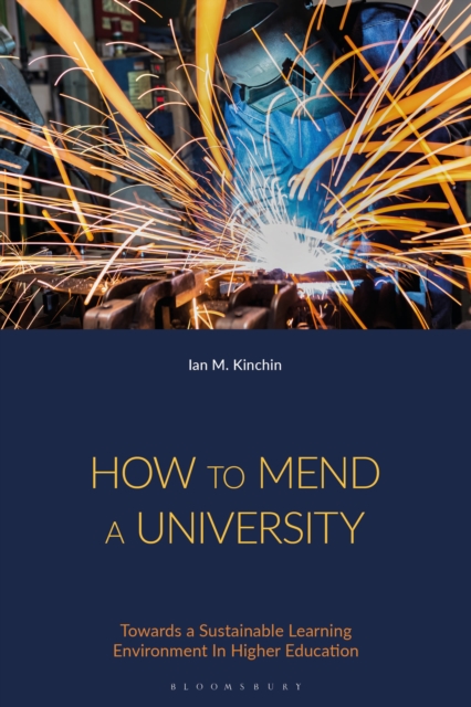 How to Mend a University : Towards a Sustainable Learning Environment In Higher Education, Hardback Book