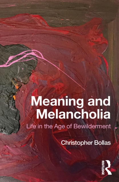 Meaning and Melancholia : Life in the Age of Bewilderment, EPUB eBook