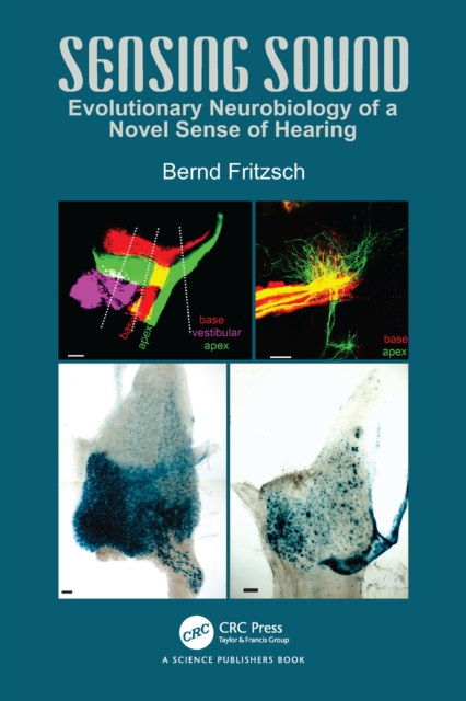 Sensing Sound : Evolutionary Neurobiology of a Novel Sense of Hearing, EPUB eBook