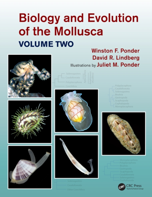 Biology and Evolution of the Mollusca, Volume 2, EPUB eBook