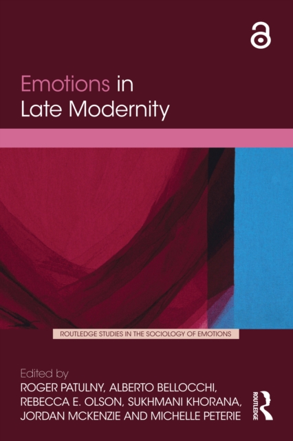 Emotions in Late Modernity, EPUB eBook