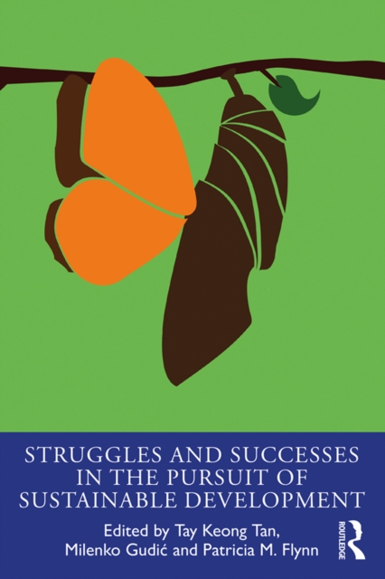 Struggles and Successes in the Pursuit of Sustainable Development, EPUB eBook