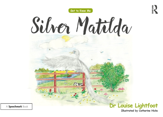 Silver Matilda : Get to Know Me: Depression, EPUB eBook