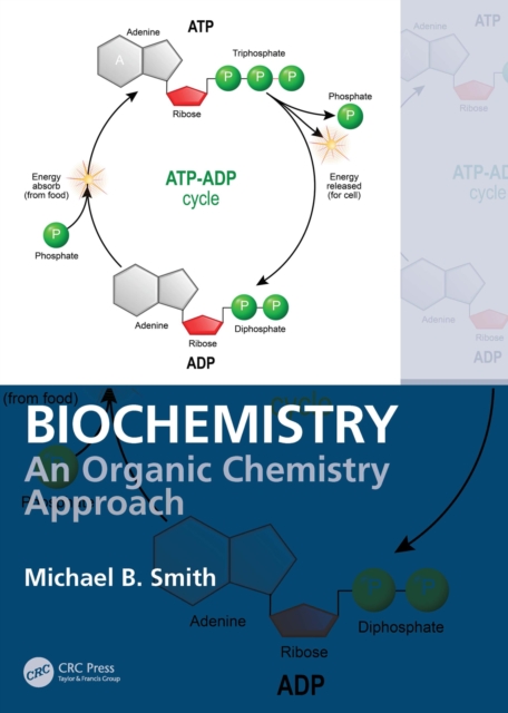 Biochemistry : An Organic Chemistry Approach, PDF eBook