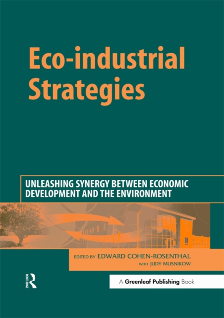 Eco-industrial Strategies : Unleashing Synergy between Economic Development and the Environment, PDF eBook