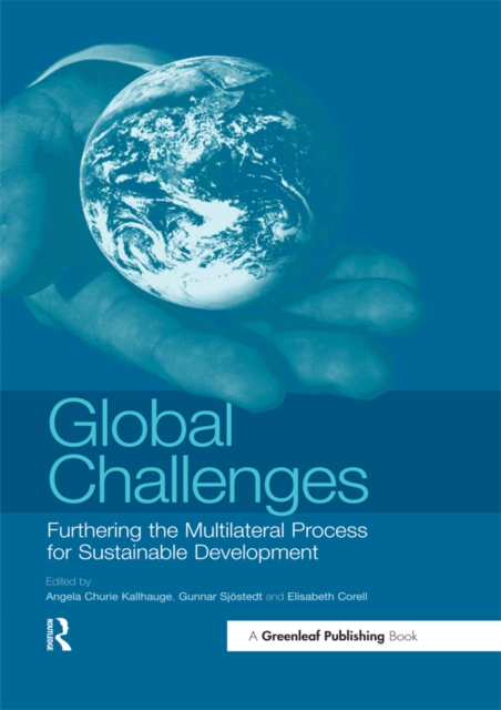 Global Challenges : Furthering the Multilateral Process for Sustainable Development, EPUB eBook