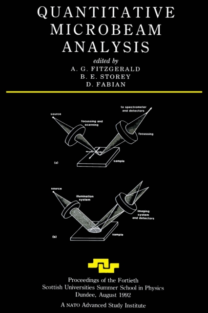 Quantitative Microbeam Analysis, PDF eBook