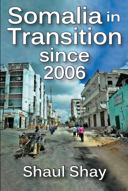 Somalia in Transition Since 2006, PDF eBook