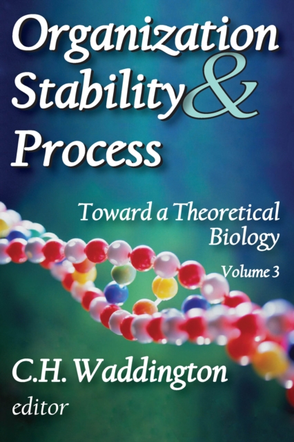 Organization Stability and Process : Volume 3, EPUB eBook