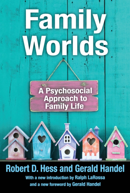 Family Worlds : A Psychosocial Approach to Family Life, EPUB eBook