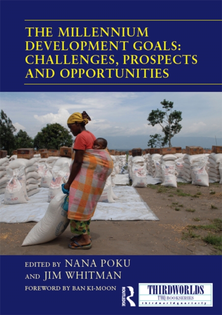 The Millennium Development Goals: Challenges, Prospects and Opportunities, PDF eBook