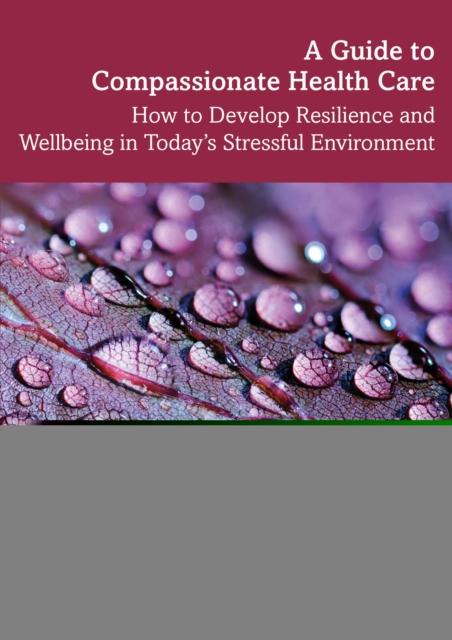 A Guide to Compassionate Healthcare : How to Develop Resilience and Wellbeing in Today's Stressful Environment, PDF eBook