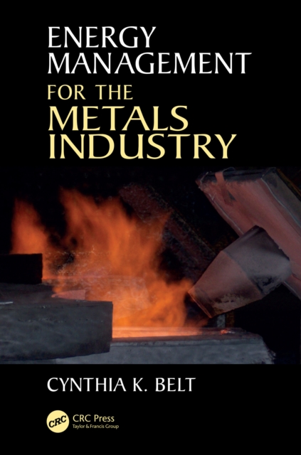 Energy Management for the Metals Industry, EPUB eBook