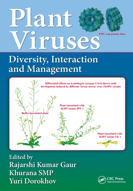 Plant Viruses : Diversity, Interaction and Management, EPUB eBook