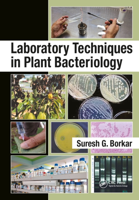 Laboratory Techniques in Plant Bacteriology, PDF eBook