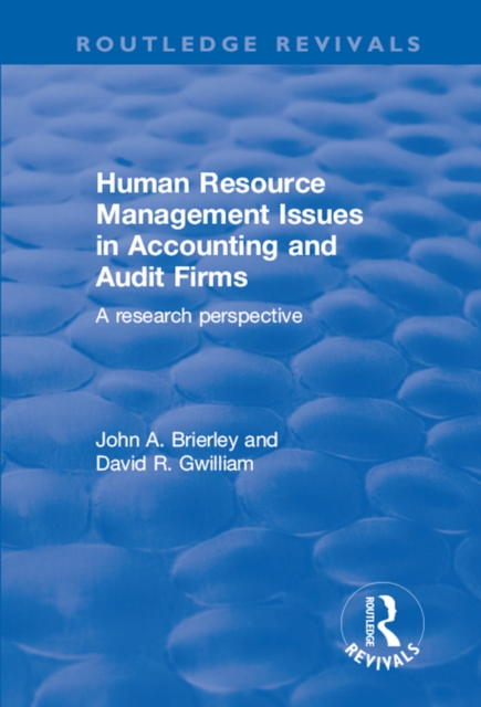 Human Resource Management Issues in Accounting and Auditing Firms : A Research Perspective, PDF eBook