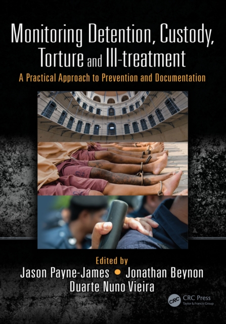 Monitoring Detention, Custody, Torture and Ill-treatment : A Practical Approach to Prevention and Documentation, EPUB eBook