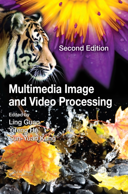 Multimedia Image and Video Processing, EPUB eBook