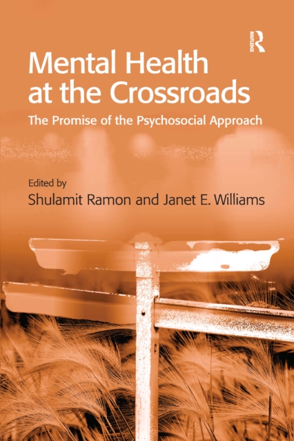 Mental Health at the Crossroads : The Promise of the Psychosocial Approach, EPUB eBook