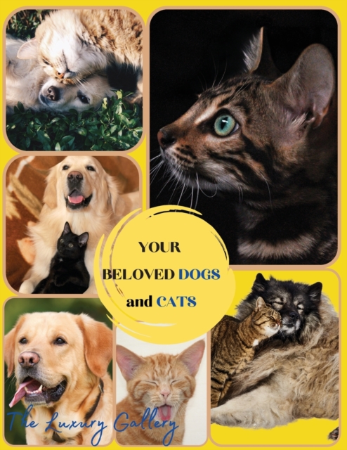 Your Beloved Dogs and Cats : The Best Selection of 50 Dog and Cat Photos by Manhattan's Top Photographers, Paperback / softback Book