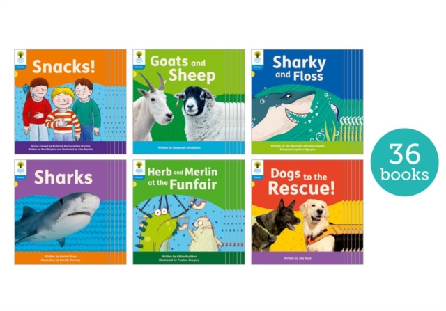 Oxford Reading Tree: Floppy's Phonics Decoding Practice: Oxford Level 3: Class Pack of 36, Paperback / softback Book