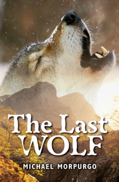 Rollercoasters: The Last Wolf, Paperback / softback Book