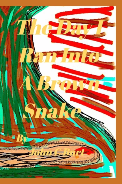 The Day I Ran Into A Brown Snake., Paperback / softback Book