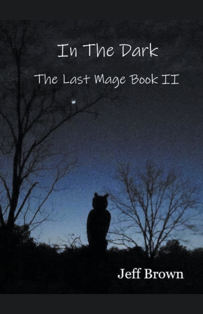 In The Dark : The Last Mage Book II, Paperback / softback Book