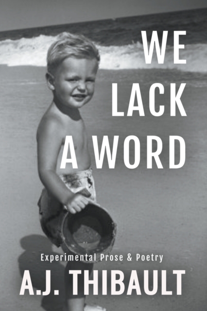 We Lack a Word, Paperback / softback Book