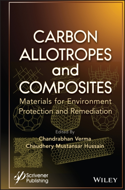 Carbon Allotropes and Composites : Materials for Environment Protection and Remediation, Hardback Book