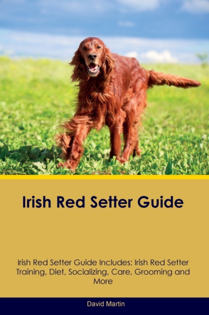 Irish Red Setter Guide Irish Red Setter Guide Includes : Irish Red Setter Training, Diet, Socializing, Care, Grooming, and More, Paperback / softback Book
