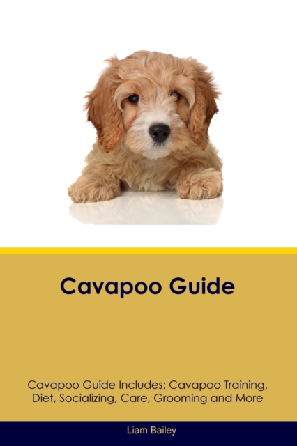 Cavapoo Guide Cavapoo Guide Includes : Cavapoo Training, Diet, Socializing, Care, Grooming, and More, Paperback / softback Book