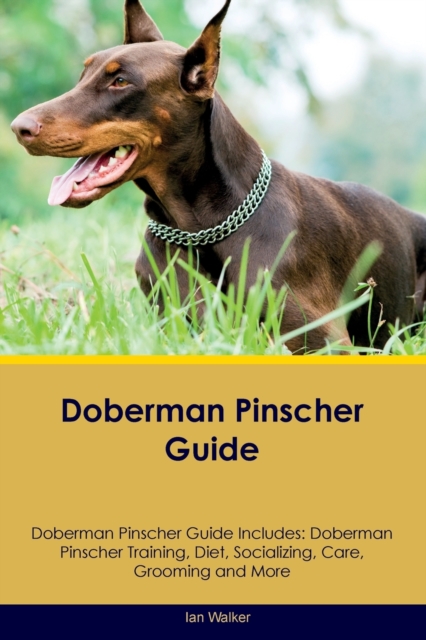 Doberman Pinscher Guide Doberman Pinscher Guide Includes : Doberman Pinscher Training, Diet, Socializing, Care, Grooming, and More, Paperback / softback Book