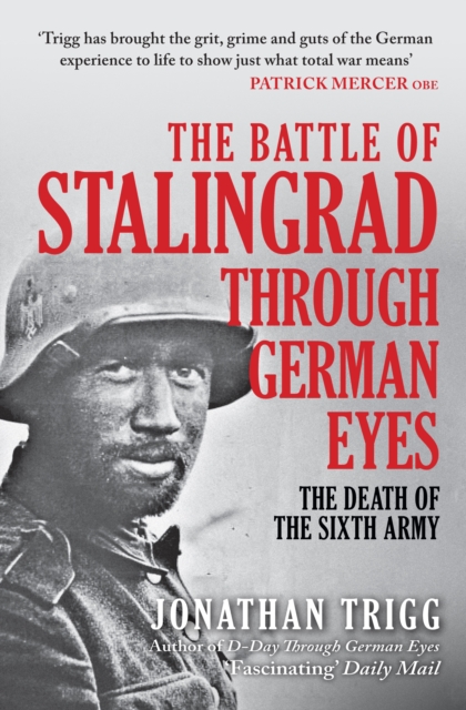 The Battle of Stalingrad Through German Eyes : The Death of the Sixth Army, Paperback / softback Book