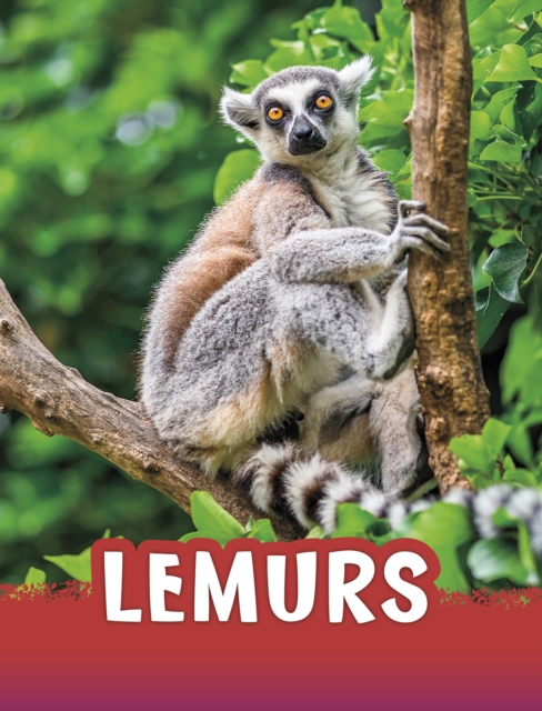 Lemurs, Paperback / softback Book