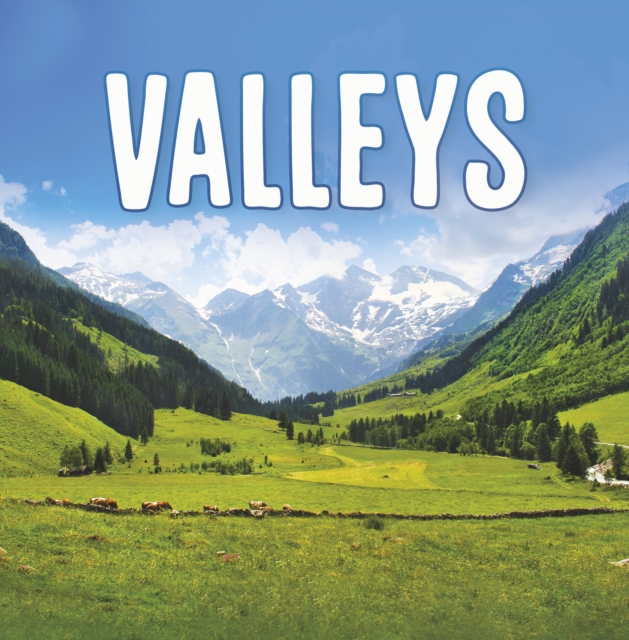 Valleys, Paperback / softback Book