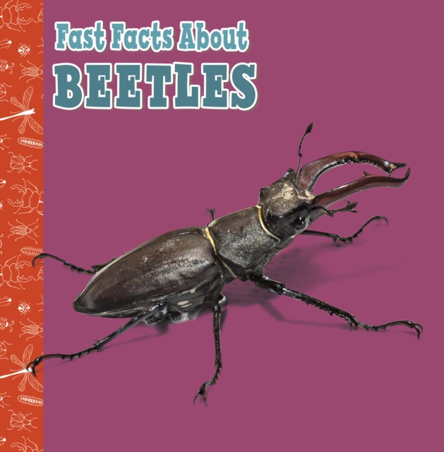 Fast Facts About Beetles, Paperback / softback Book