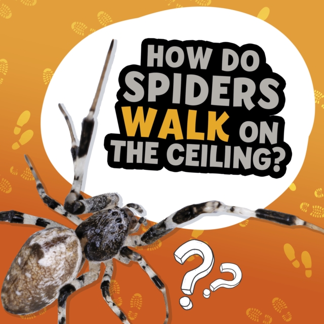 How Do Spiders Walk on the Ceiling?, Hardback Book