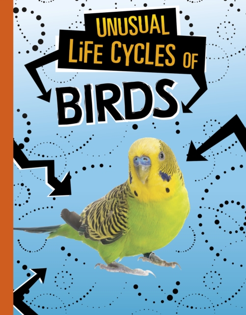 Unusual Life Cycles of Birds, Hardback Book