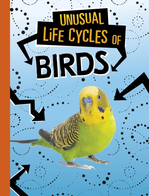 Unusual Life Cycles of Birds, EPUB eBook