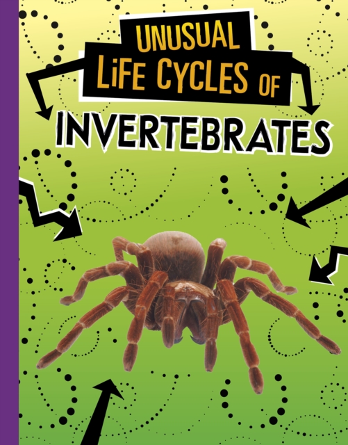 Unusual Life Cycles of Invertebrates, Hardback Book