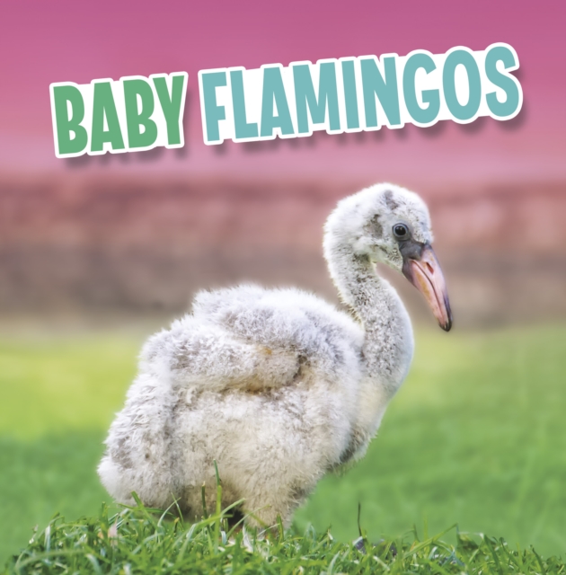 Baby Flamingos, EPUB eBook