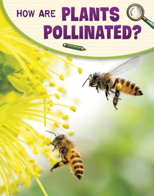 How Are Plants Pollinated?, Hardback Book