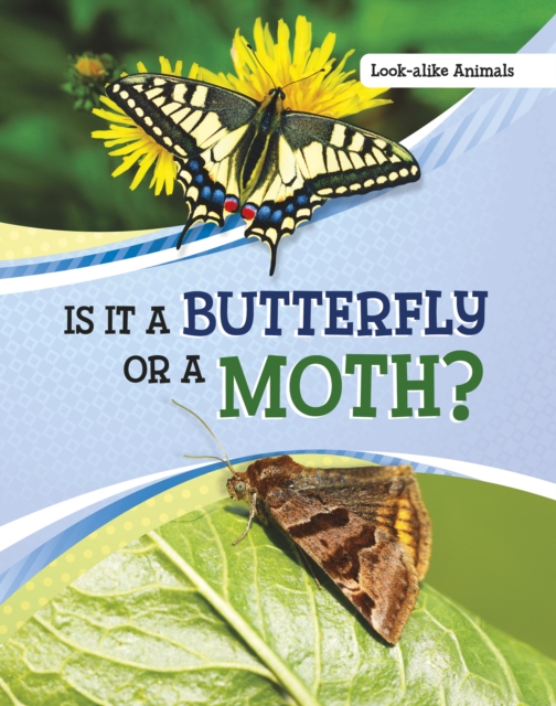 Is It a Butterfly or a Moth?, Hardback Book